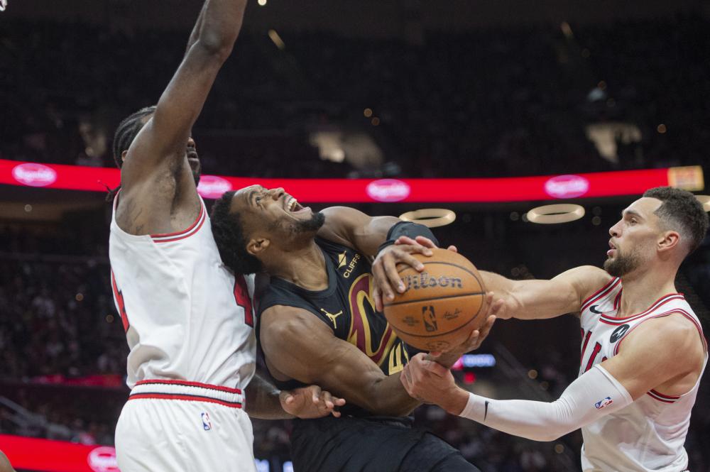 会严查并处 会严查并处